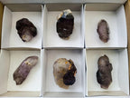 Natural Amethyst Window Crystals x 6 From Chiredzi, Zimbabwe