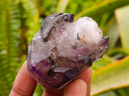 Natural Amethyst Window Crystals x 6 From Chiredzi, Zimbabwe
