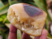 Polished Septerye Standing Free Forms x 12 From Mahajanga, Madagascar