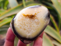 Polished Septerye Standing Free Forms x 12 From Mahajanga, Madagascar