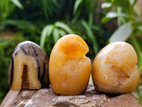 Polished Septerye Standing Free Forms x 12 From Mahajanga, Madagascar