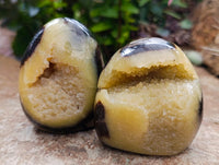 Polished Septerye Standing Free Forms x 12 From Mahajanga, Madagascar