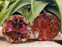 Hand Made Red Podocarpus Petrified Wood Conglomerate Plaques x 4 From Mahajanga, Madagascar