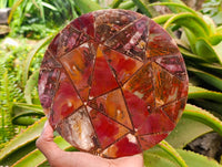 Hand Made Red Podocarpus Petrified Wood Conglomerate Plaques x 4 From Mahajanga, Madagascar