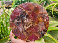 Hand Made Red Podocarpus Petrified Wood Conglomerate Plaques x 4 From Mahajanga, Madagascar