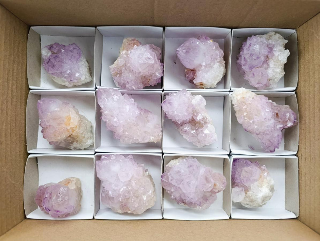 Natural Cactus Flower Amethyst Spirit Clusters x 12 From South Africa
