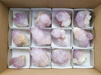 Natural Cactus Flower Amethyst Spirit Clusters x 12 From South Africa