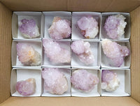 Natural Cactus Flower Amethyst Spirit Clusters x 12 From South Africa