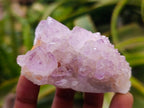 Natural Cactus Flower Amethyst Spirit Clusters x 12 From South Africa