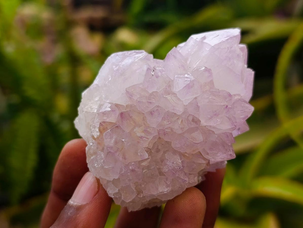 Natural Cactus Flower Amethyst Spirit Clusters x 12 From South Africa