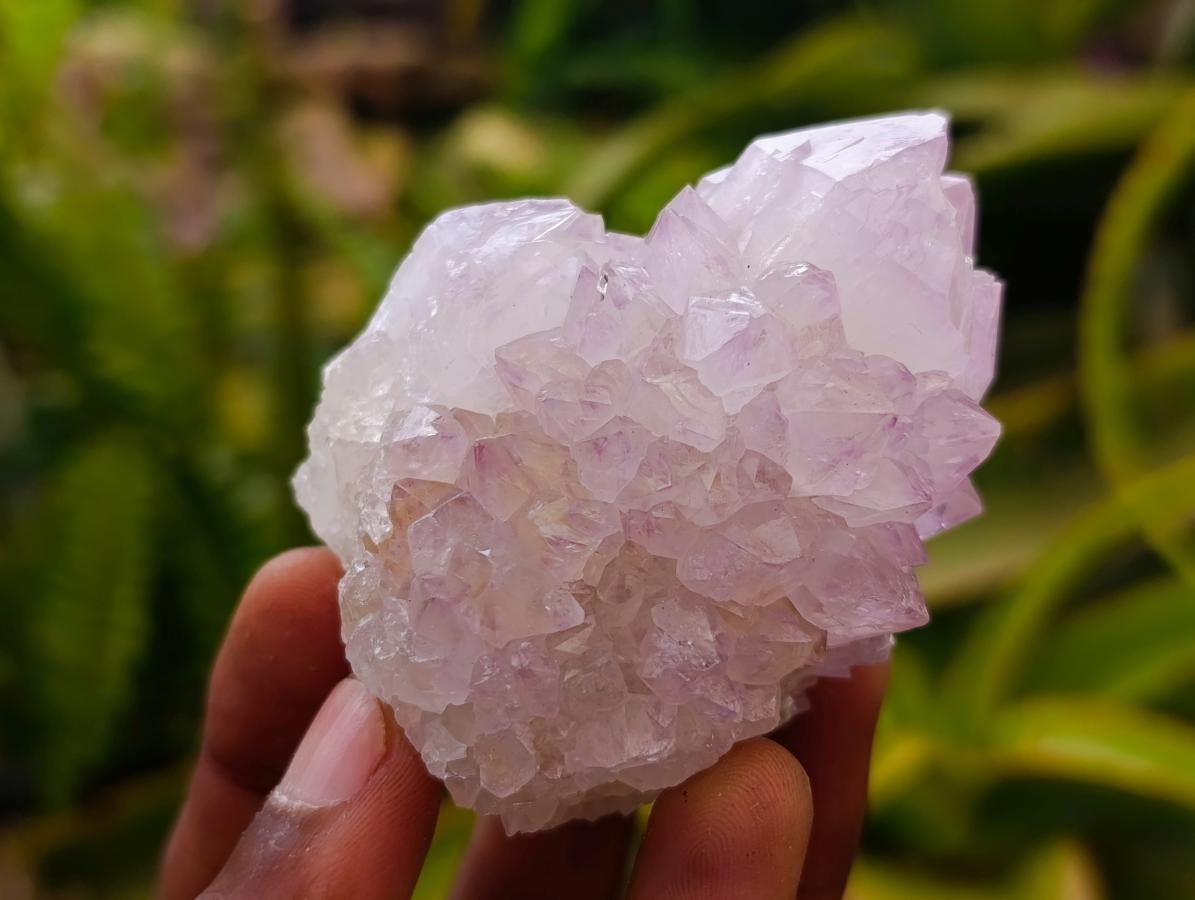 Natural Cactus Flower Amethyst Spirit Clusters x 12 From South Africa