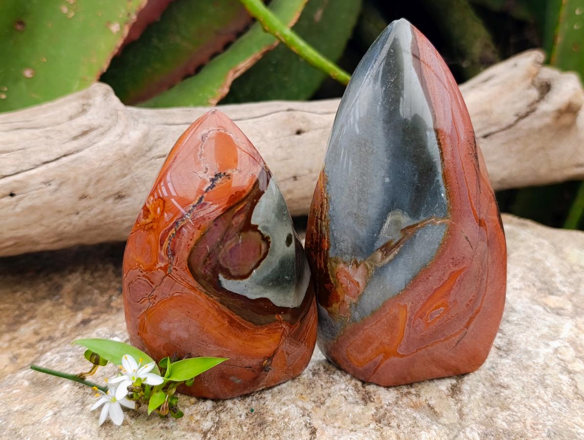 Polished Polychrome Jasper Flames x 6 From NW Coast, Madagascar