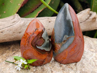 Polished Polychrome Jasper Flames x 6 From NW Coast, Madagascar