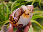Polished Polychrome Jasper Flames x 6 From NW Coast, Madagascar