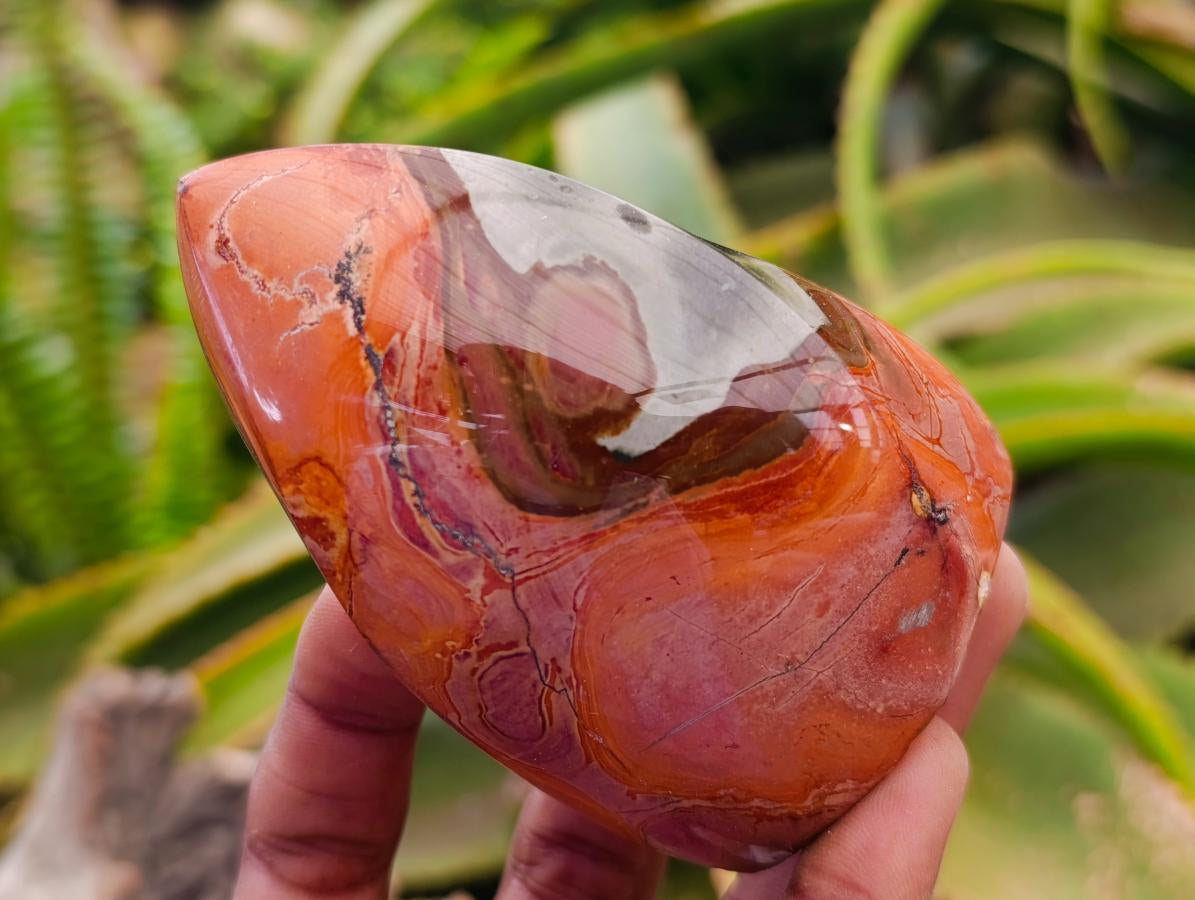 Polished Polychrome Jasper Flames x 6 From NW Coast, Madagascar
