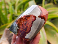 Polished Polychrome Jasper Flames x 6 From NW Coast, Madagascar