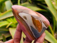 Polished Polychrome Jasper Flames x 6 From NW Coast, Madagascar