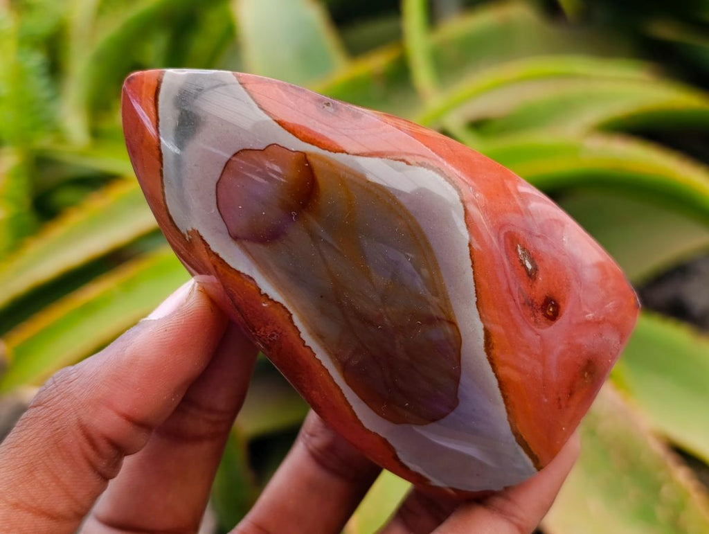 Polished Polychrome Jasper Flames x 6 From NW Coast, Madagascar