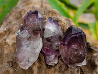 Natural Amethyst Window Quartz Crystals x 35 From Brandberg, Namibia