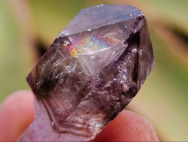 Natural Amethyst Window Quartz Crystals x 35 From Brandberg, Namibia