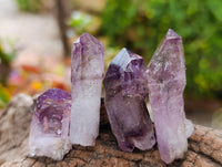 Natural Amethyst Window Quartz Crystals x 35 From Brandberg, Namibia