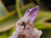 Natural Amethyst Window Quartz Crystals x 35 From Brandberg, Namibia