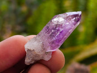 Natural Amethyst Window Quartz Crystals x 35 From Brandberg, Namibia