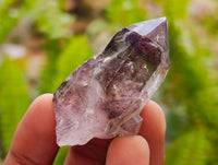 Natural Amethyst Window Quartz Crystals x 35 From Brandberg, Namibia