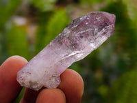 Natural Amethyst Window Quartz Crystals x 35 From Brandberg, Namibia