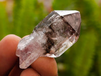 Natural Amethyst Window Quartz Crystals x 35 From Brandberg, Namibia