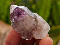 Natural Amethyst Window Quartz Crystals x 35 From Brandberg, Namibia