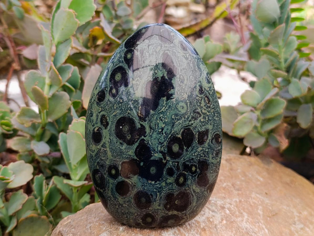 Polished Stromatolite Standing Free Forms x 2 From Katsepy, Madagascar