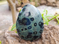 Polished Stromatolite Standing Free Forms x 2 From Katsepy, Madagascar