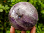 Polished Purple Chevron Amethyst Spheres x 2 From Madagascar
