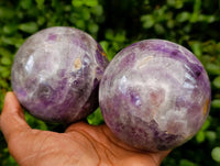 Polished Purple Chevron Amethyst Spheres x 2 From Madagascar