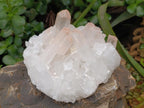 Natural Mixed Quartz Crystal Clusters x 3 From Madagascar