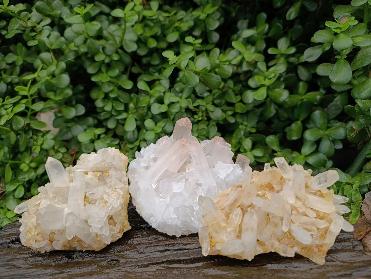 Natural Mixed Quartz Crystal Clusters x 3 From Madagascar