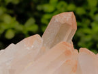 Natural Mixed Quartz Crystal Clusters x 3 From Madagascar