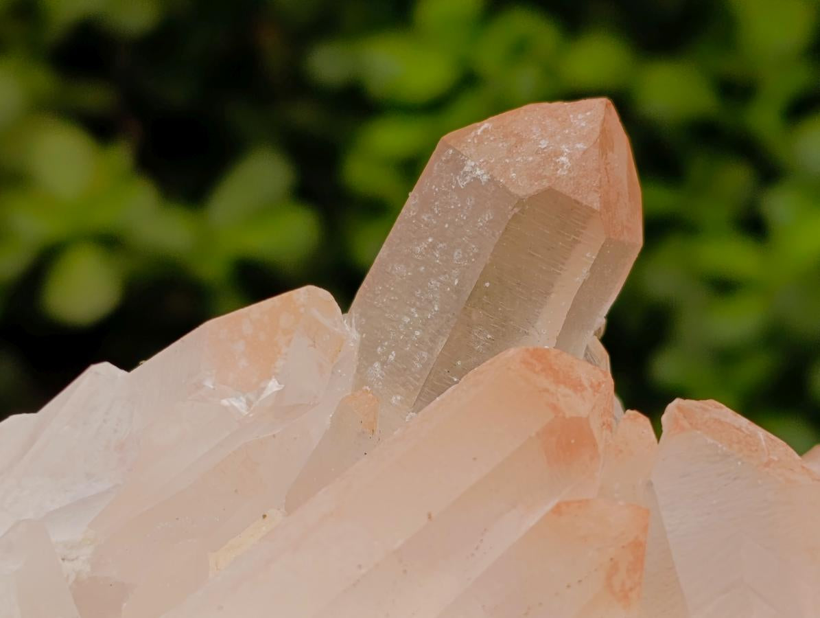 Natural Mixed Quartz Crystal Clusters x 3 From Madagascar