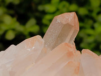 Natural Mixed Quartz Crystal Clusters x 3 From Madagascar