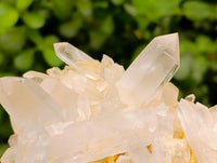 Natural Mixed Quartz Crystal Clusters x 3 From Madagascar