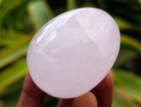 Polished Gemmy Star Rose Quartz Eggs x 12 From Madagascar