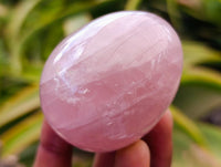 Polished Gemmy Star Rose Quartz Eggs x 12 From Madagascar