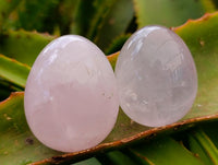 Polished Gemmy Star Rose Quartz Eggs x 12 From Madagascar