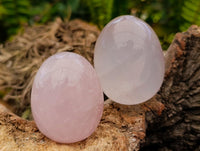 Polished Gemmy Star Rose Quartz Eggs x 12 From Madagascar
