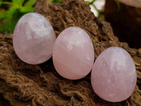 Polished Gemmy Star Rose Quartz Eggs x 12 From Madagascar