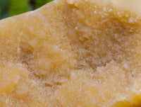 Polished Septerye Standing Free Forms x 4 From Mahajanga, Madagascar