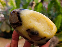 Polished Septerye Standing Free Forms x 4 From Mahajanga, Madagascar