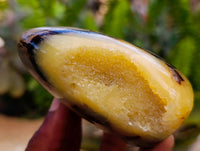 Polished Septerye Standing Free Forms x 4 From Mahajanga, Madagascar
