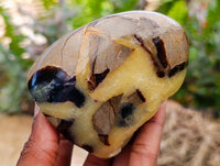 Polished Septerye Standing Free Forms x 4 From Mahajanga, Madagascar